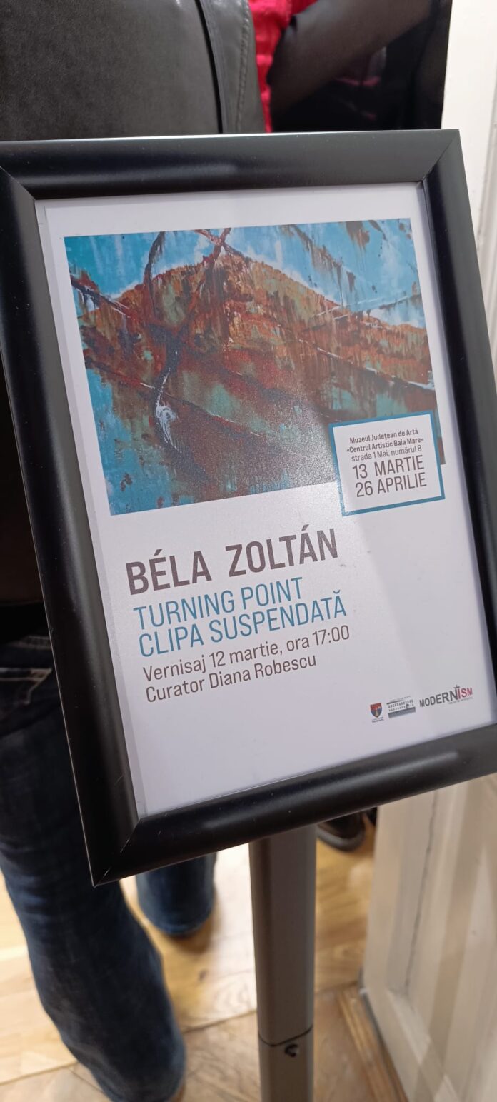 foto credit Facebook Muzeul Judetean de Artă «Centrul Artistic Baia Mare»