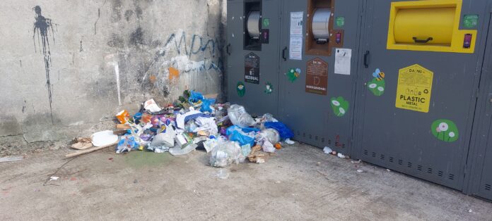ecoinsulele moderne Baia Mare